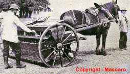 Fertilizer Spreader - Seeder - See history section for more photo's like this.