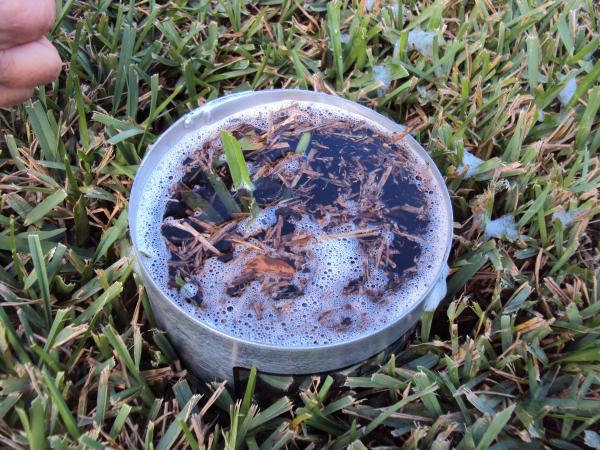 The Turf-Tec Insect Flotation Sampler can be inserted through the thatch into the soil and then filled with water. Within minutes insects will float to the surface where they can be removed or counted to make population level estimates over space and time