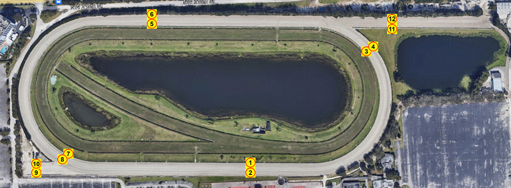 Test Points for equine areas like Dirt Horse Racetraccks, Synthetic Race Tracks. 12 suggested test areas for equine areas like Dirt Horse Racetraccks, Synthetic Race Tracksshear strength and Clegg impact testing