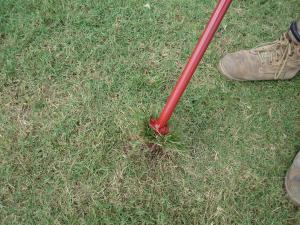 Twist handle of Turf-Tec WeedAway to loosen roots from soil.
