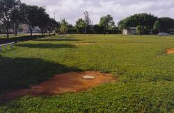 Not all ball fields are created equal, This is a private school baseball field that gets little or no maintenance during off season activity.  This is the view from home plate to third base.  The primary grass is St. Augustine.