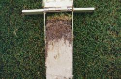 September 2002, Yankees Legends Field.  The field had been re-built about two years prior with pure sand and the top two inches modified with USGA specification sand and peat mixture.  The sample was taken with the Mascaro Profile Sampler.
