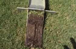 This is a soil profile taken with the Mascaro Profile Sampler of the field at the Lakewood Complex in the City of St. Petersburg, FL.  the upper three inches have been amended with rubber from ground up tires.