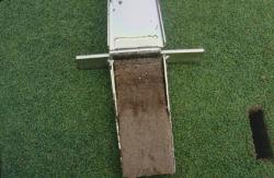 This is a soil profile taken with the Mascaro Profile Sampler of a golf green on Koolau Golf Course, HI.   The turf was also Seashore Paspalum and construction of the greens was USGA sand / peat mix