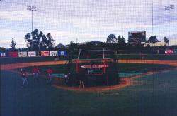 SDSU Baseball Complex.  Artificial turf behind home plate with a natural grass infield and outfield.
