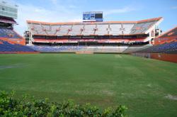 This is a visit I made to the University of Florida stadium also know as "The Swamp".