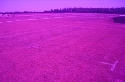 The same fertilization plots at the University of Florida with the Turf Stress Detection Glasses.