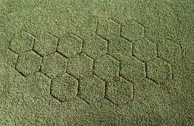 Seamless repair completed with 7 Inch Hexagon Turf Plugger on golf green